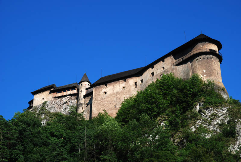 Orava